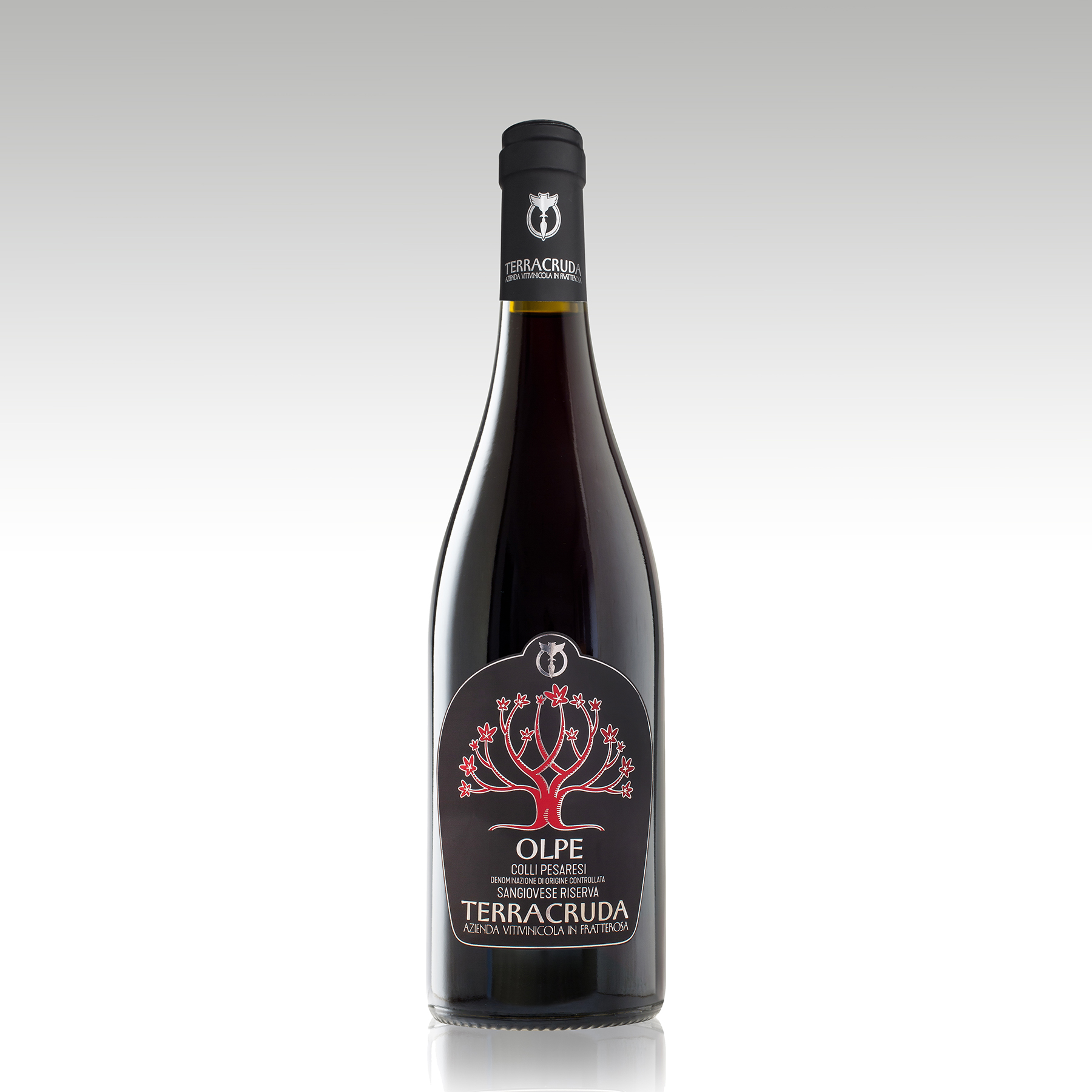 Colline Pesaresi DOC Sangiovese Riserva “Olpe” – Terracruda